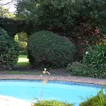 Cherry Lane Constantia