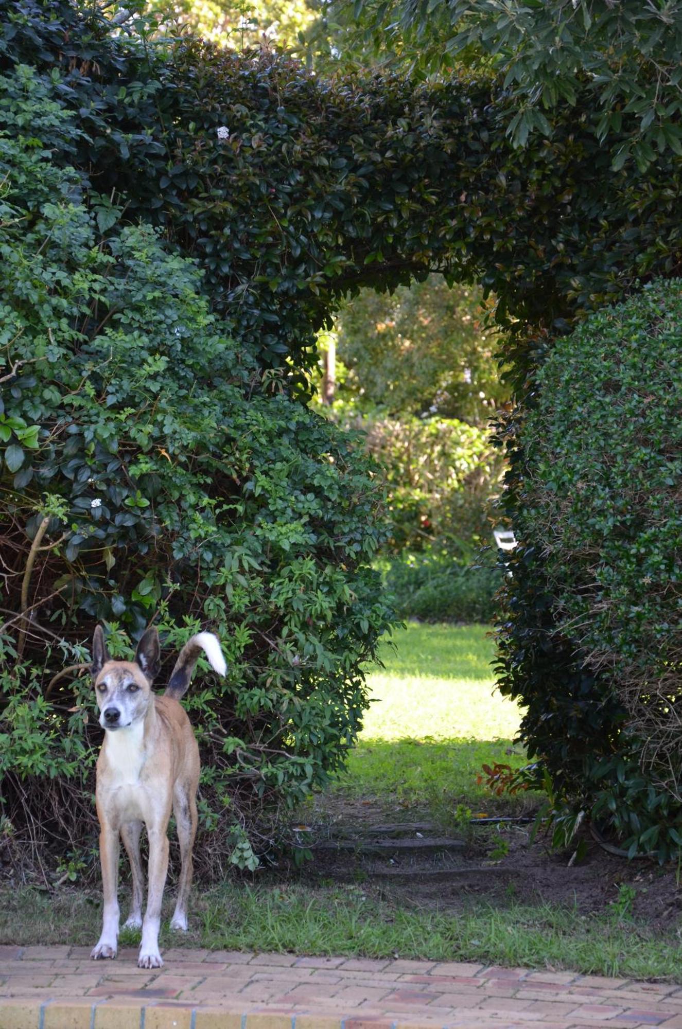 Cherry Lane Constantia Holiday home Cape Town